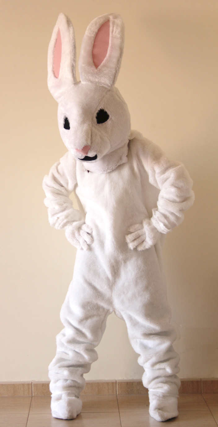 Mascotte lapin Scootfast